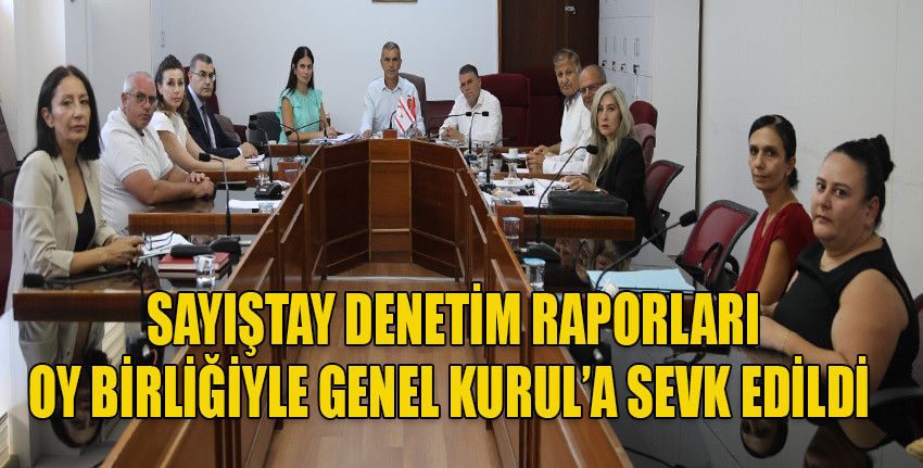 Cumhuriyet Meclisi, Sayıştay Komitesi toplandı