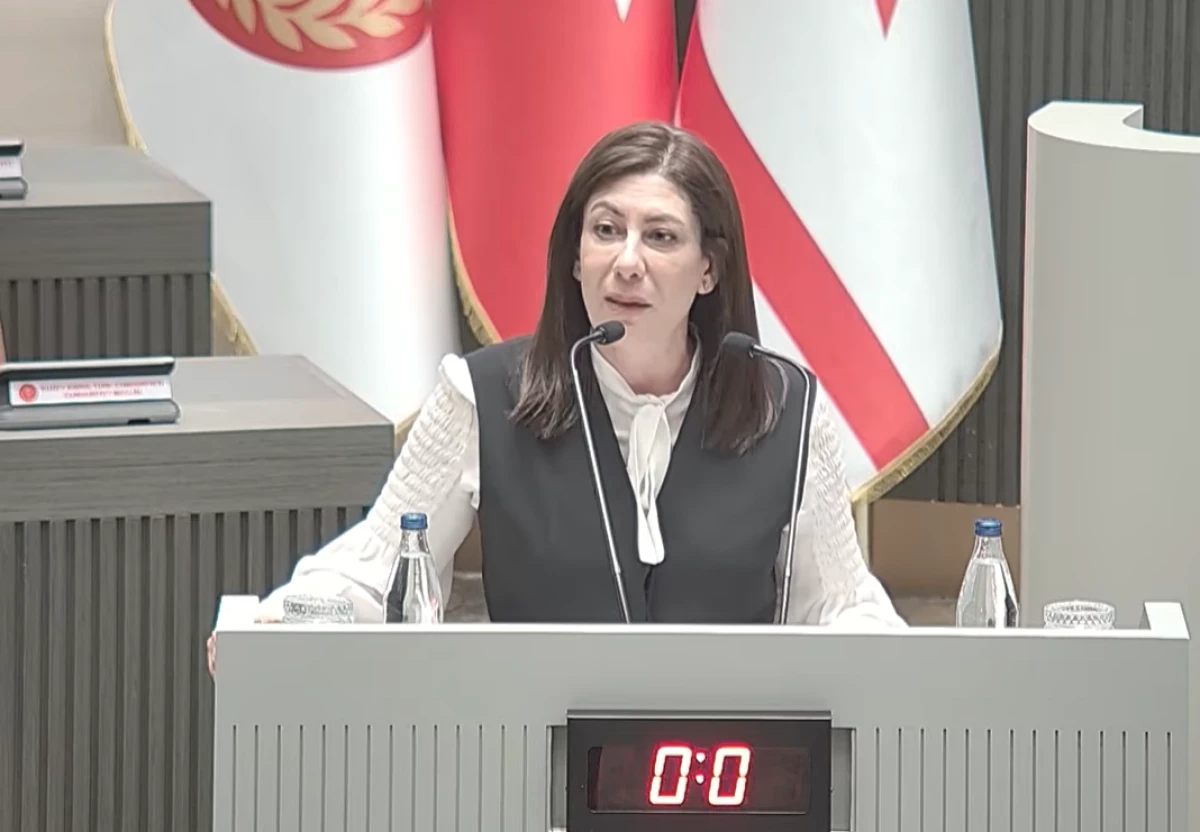 İncirli: Kayıt dışı n&uuml;fusla m&uuml;cadele y&ouml;ntemi af &ccedil;ıkarmak değil