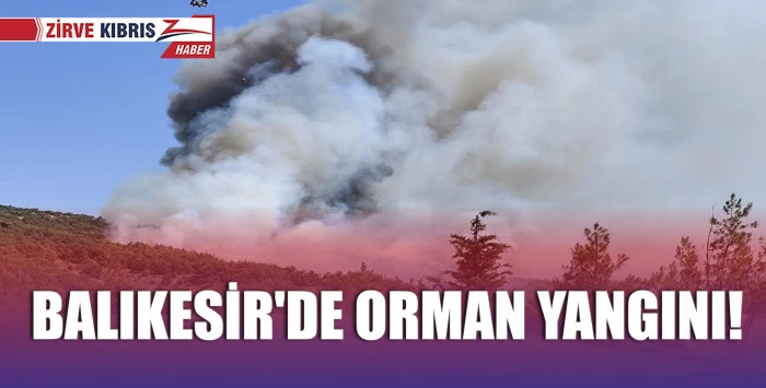 Yangına havadan ve karadan müdahale ediliyor